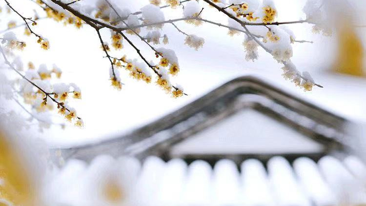 大(dà)寒養生(shēng)，做(zuò)好(hǎo)這(zhè)五點即可(kě)！